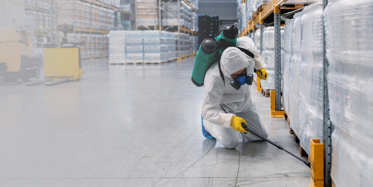 Fumigacion de alta calidad